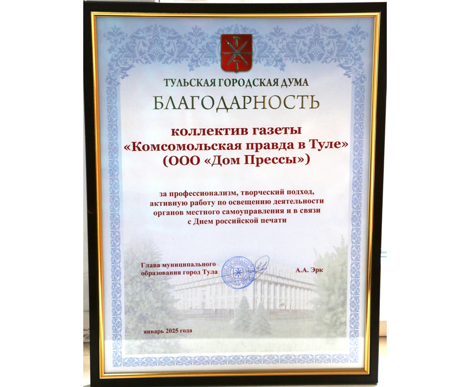 Тульская городская Дума объявила благодарность «Комсомольской правде» в Туле