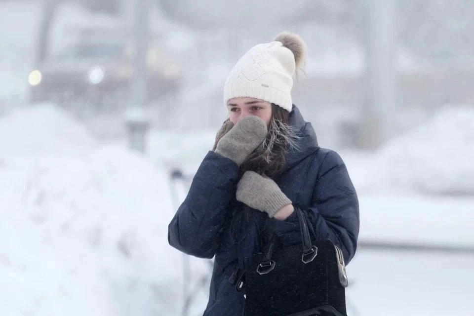 Синоптик Шувалов: в феврале в Москве не ожидается морозов сильнее – 10 градусов