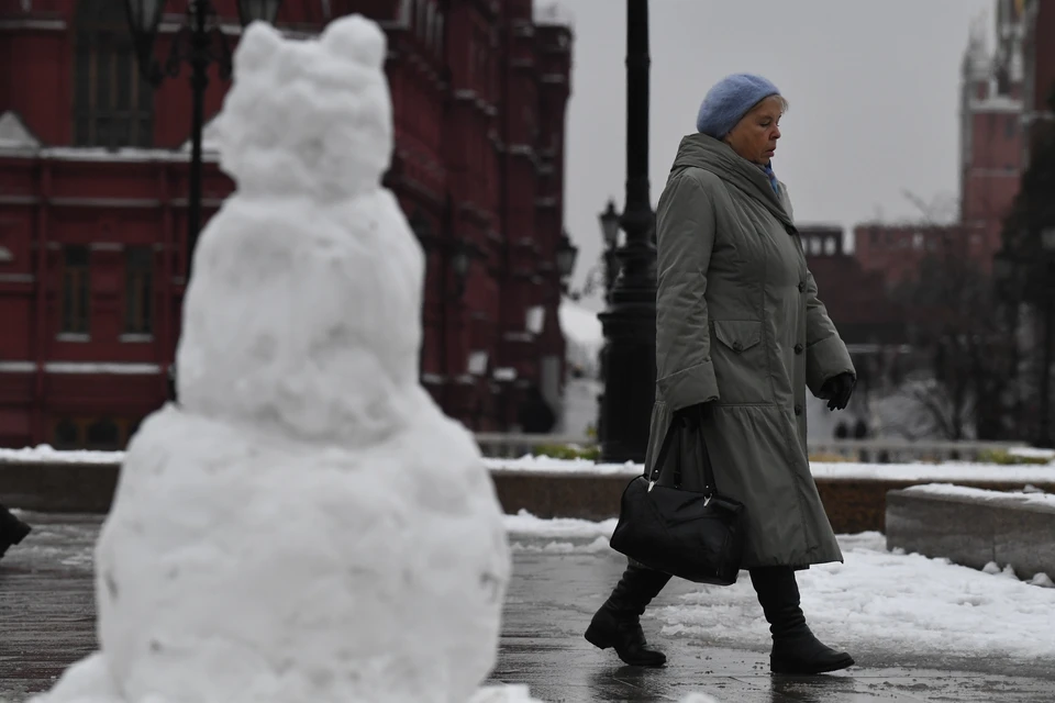 Зимы в Москве могут станут бесснежными