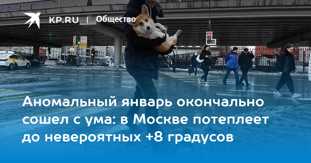 Москва градусы. Температура в москве сегодня. Погода в москве сейчас. Геопрогноз в москве. Пошла москва на неделю.