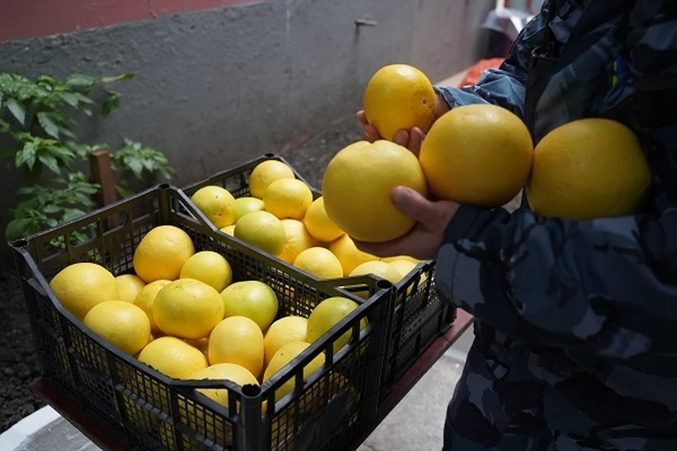 Фото: УФСИН России по Тюменской области.