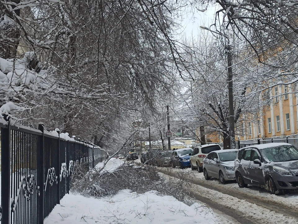 Подобная погода может спровоцировать ЧП.