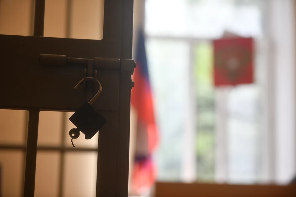 Решение о приостановлении производства по уголовному делу принято 3 февраля