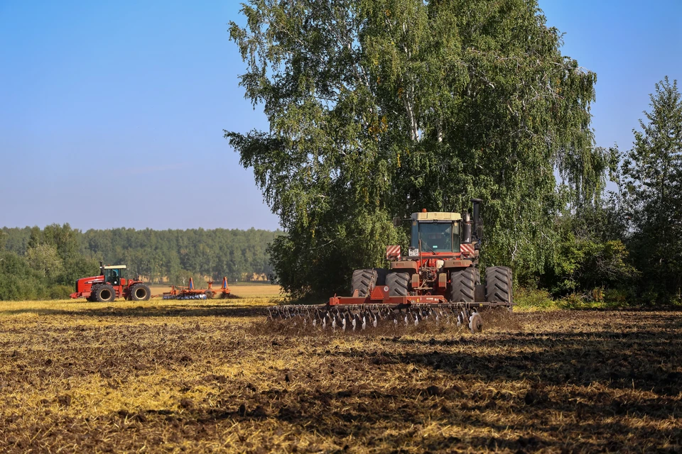 Перед весенним посевом на Ставрополье проверили около 86% семян