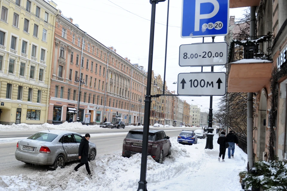 Еще 29 зон с синей разметкой появятся в двух районах Петербурга.