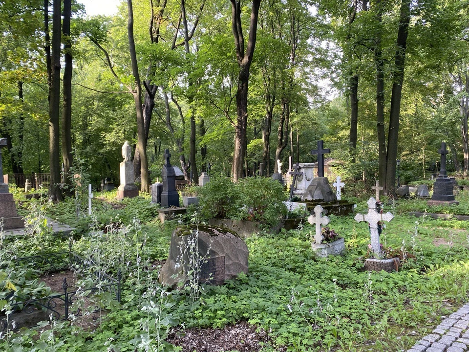 Мужчина вышел в суд с иском к администрации поселка Боровский.