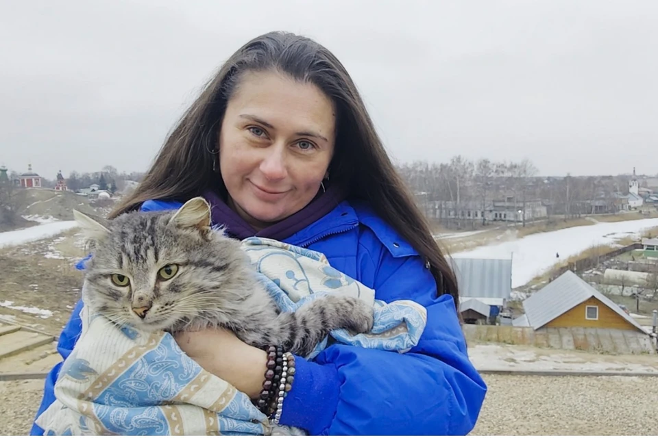 Котик по кличке Леший ищет дом. Фото: предоставлено «Комсомолке».