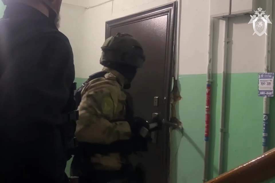 Скриншот: Следком