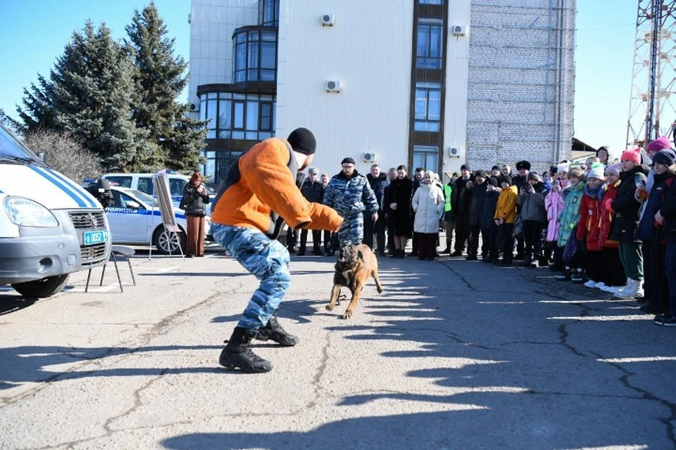 Самые сильные и смелые: В Луганске состоялись показательные выступления сотрудников силовых структур. ФОТО: ТГ-канал главы ЛНР