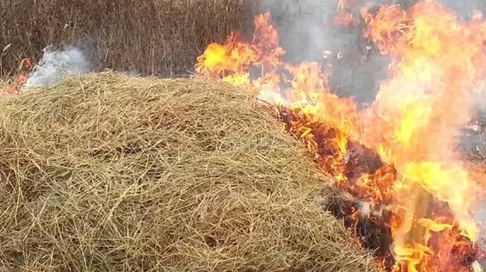 Ребенок поджег сено. Фото: соцсети