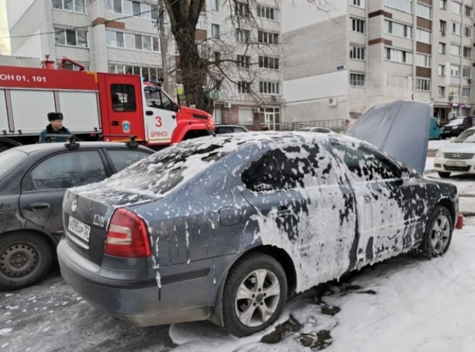 Фото: пресс-служба ГУ МЧС России по Брянской области.