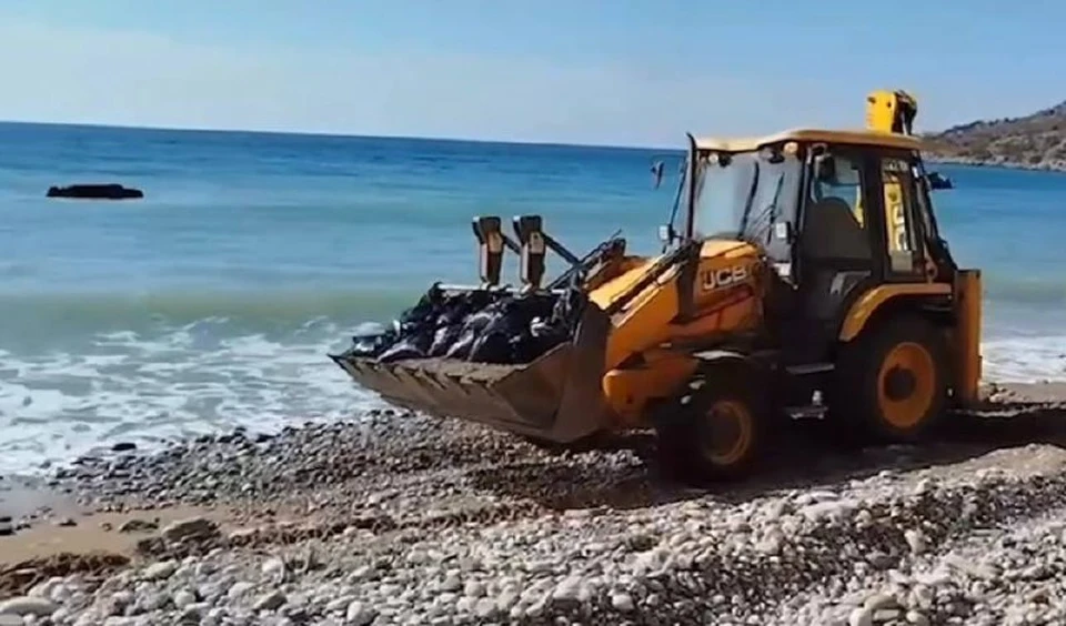 Вода в акватории бухты Ласпи идеально чистая. Фото: скриншот видео Михаила Развожаева/Tg