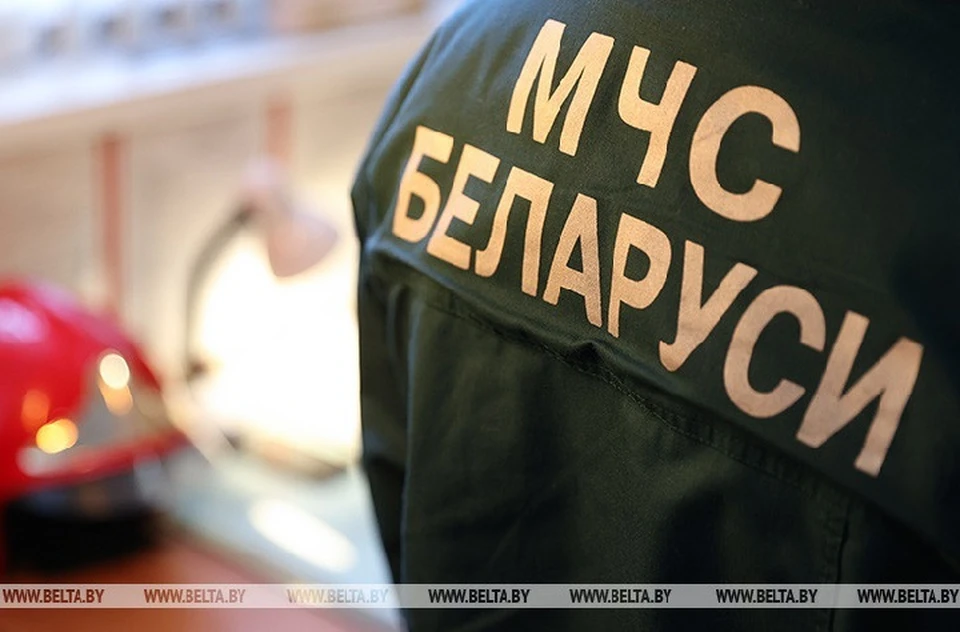 В Волковыске палец ребенка застрял в овощечистке. Фото: архив БелТА.