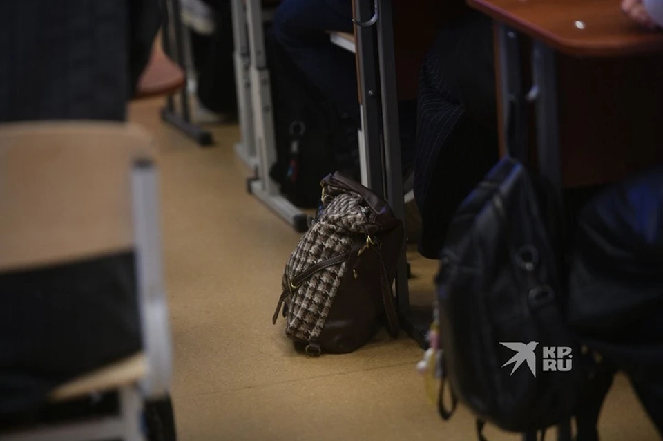 В обстоятельствах драки учащихся еще предстоит разобраться компетентным специалистам