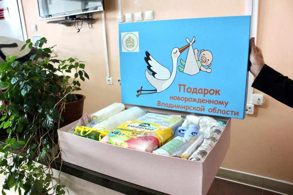 фото Правительства Владимирской области