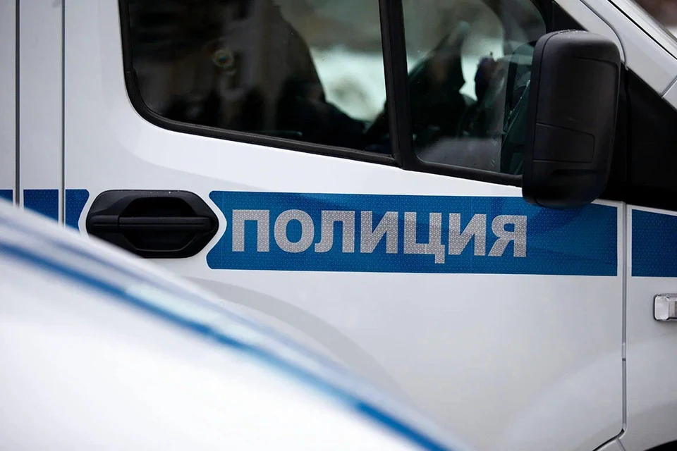 Драка произошла во время массовых катаний на коньках