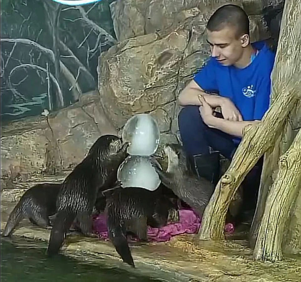 Фото: Пензенский океанариум.