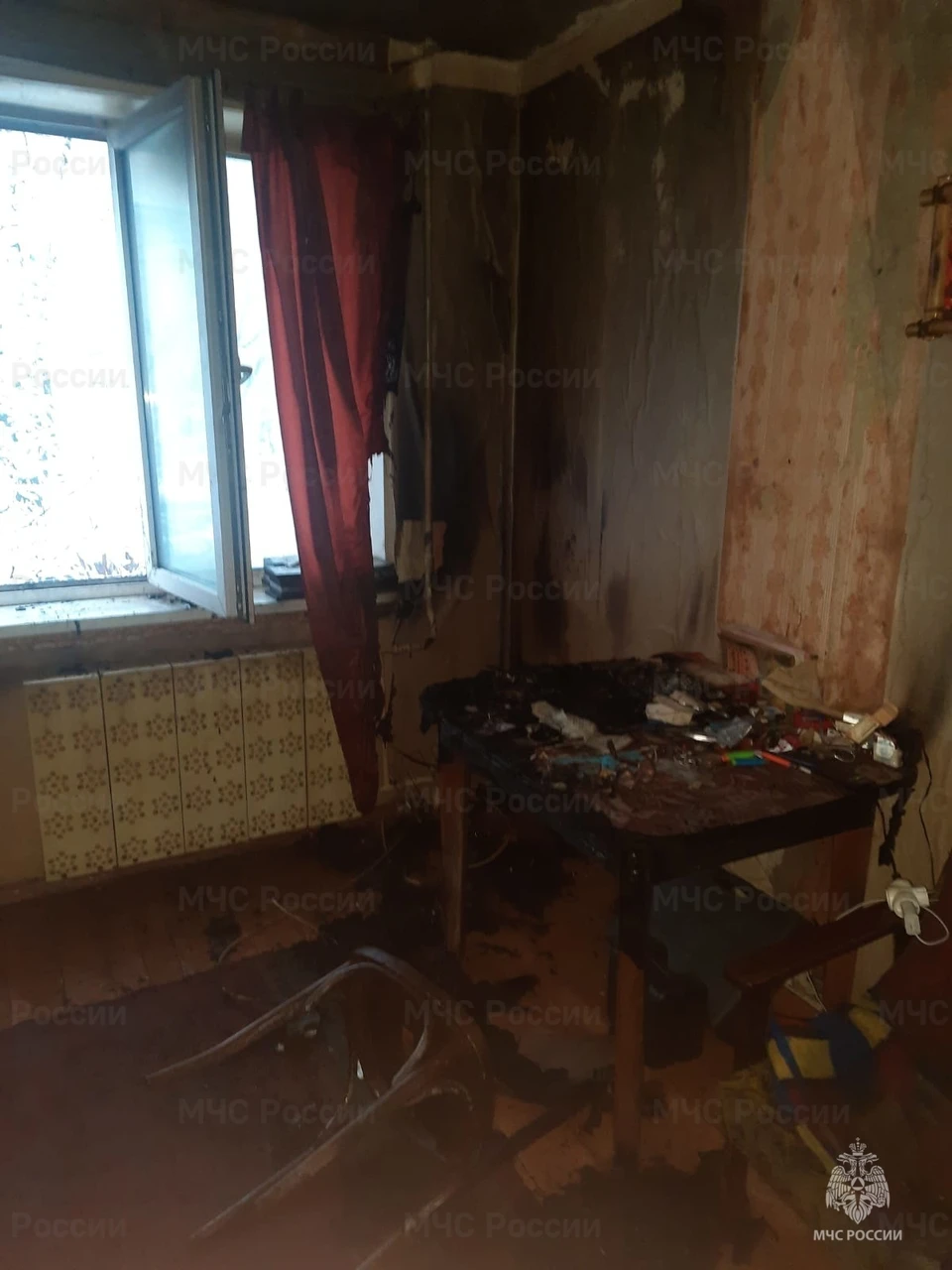 Фото: пресс-служба ГУ МЧС России по Костромской области