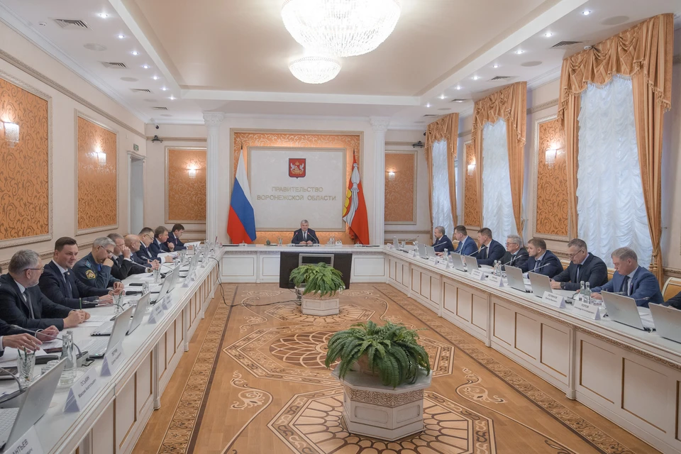 Фото: Правительство Воронежской области