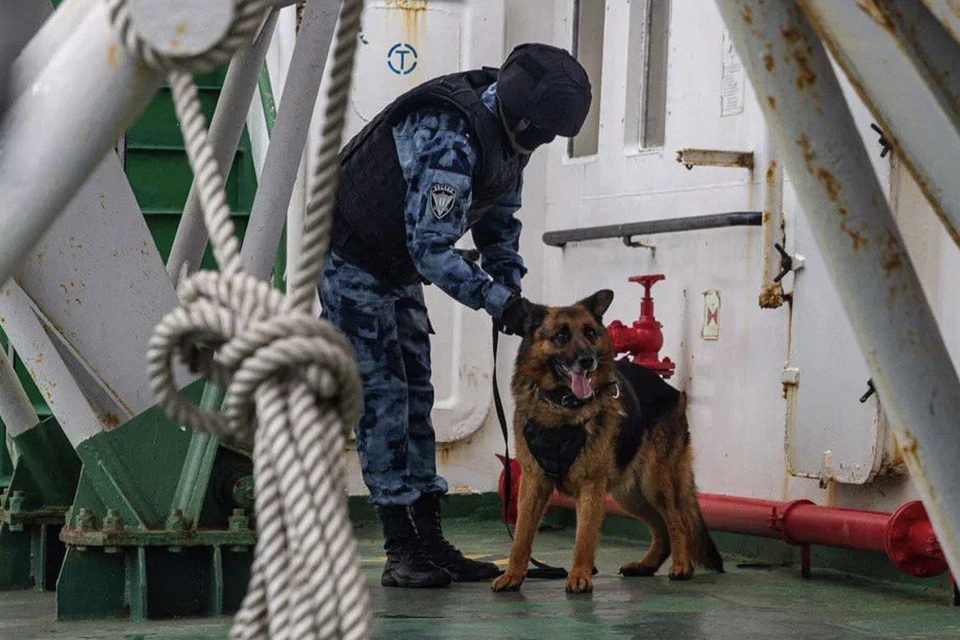 За победу боролись 20 кандидатов из 11 регионов России, а также из Португалии, Великобритании и Беларуси.