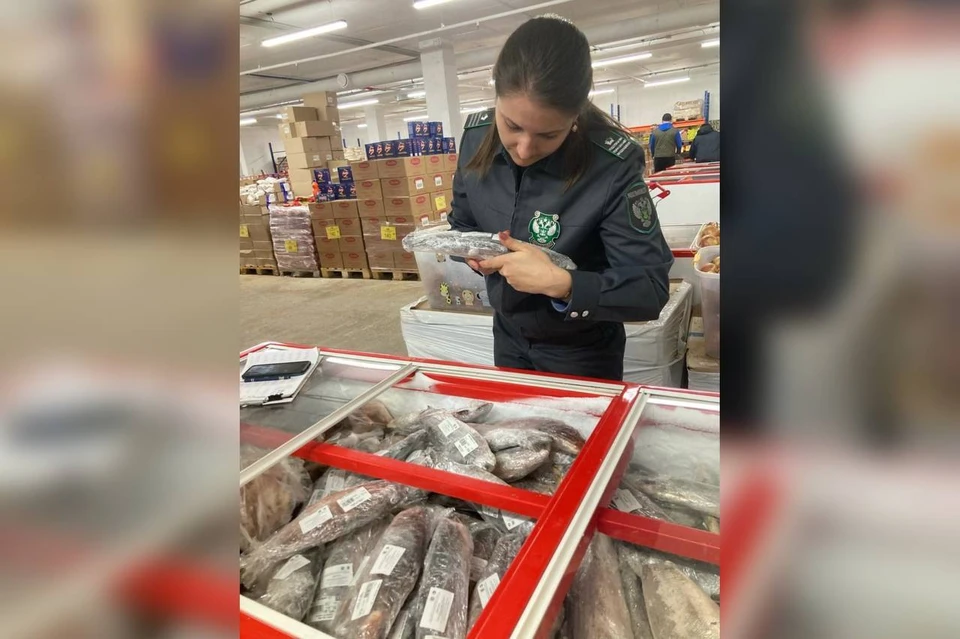 Из магазинов изъяли более 4 тонн просроченной продукции Фото: Южное межрегиональное управление Россельхознадзора