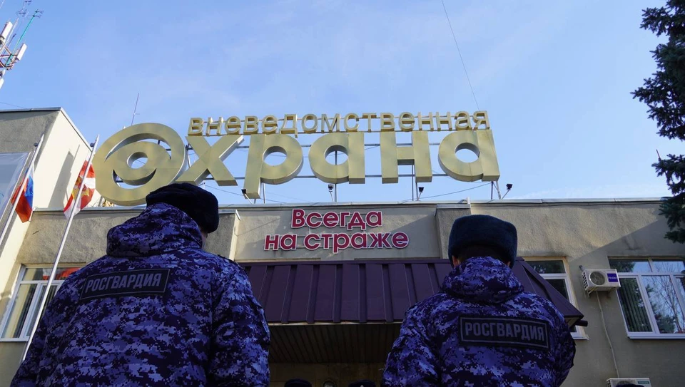 Фото: "Пул Z 64"