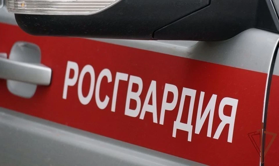 В Тульской области росгвардейцы задержали угонщика автомобиля.