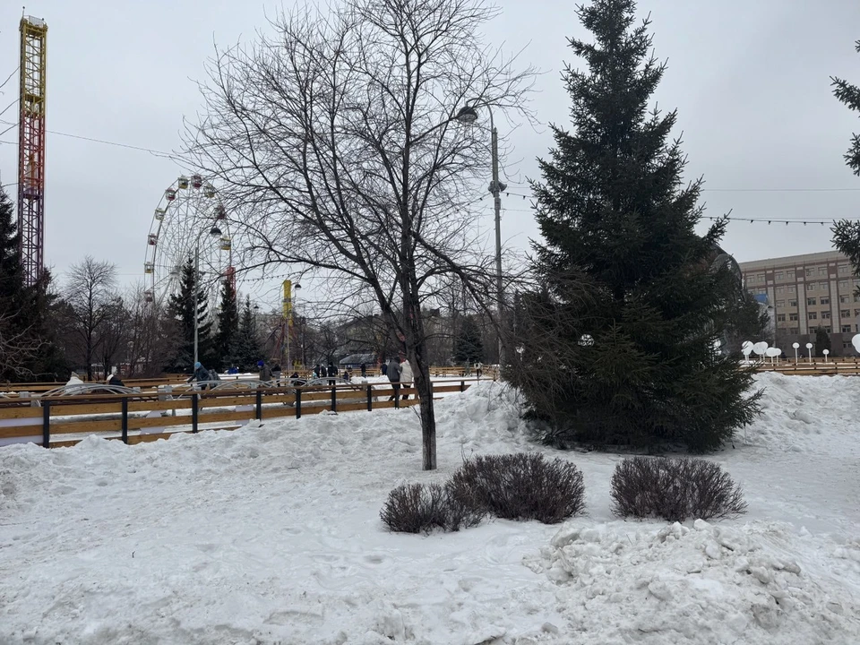 Весеннее тепло придет в Тюменскую область, но с двумя неприятными нюансами.