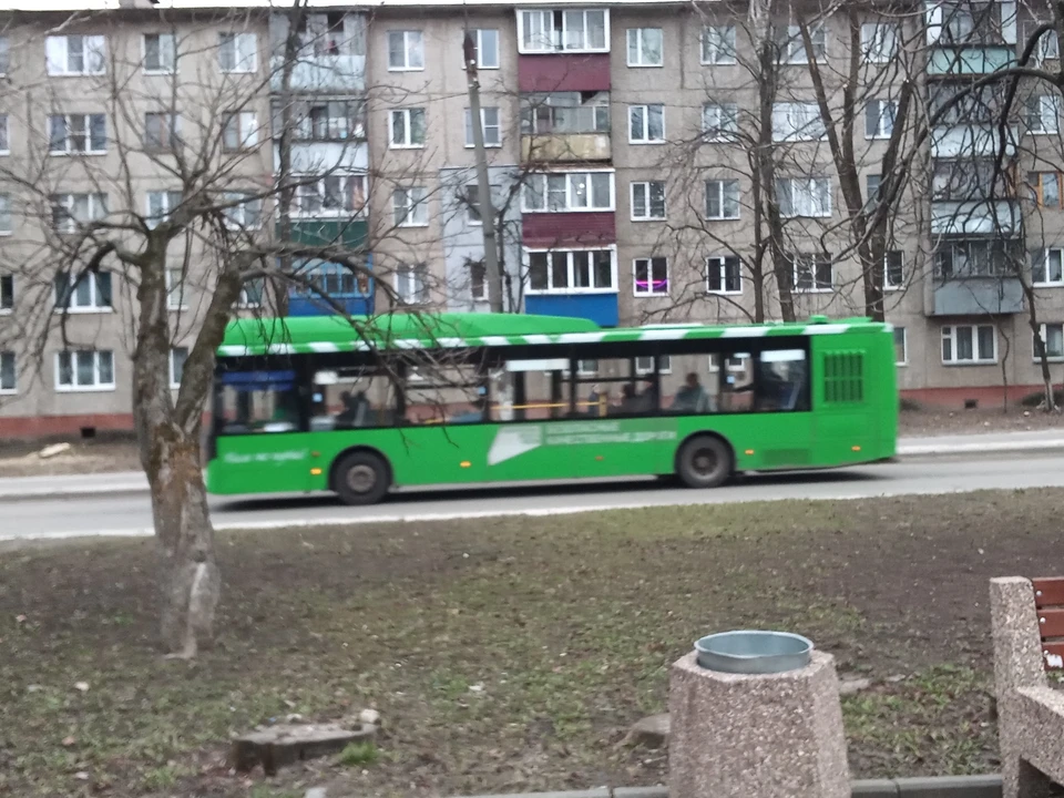 На выходных в регионе будет сухо и тепло
