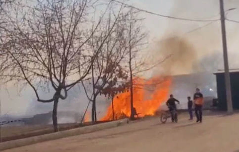 Фото: скриншот видео
