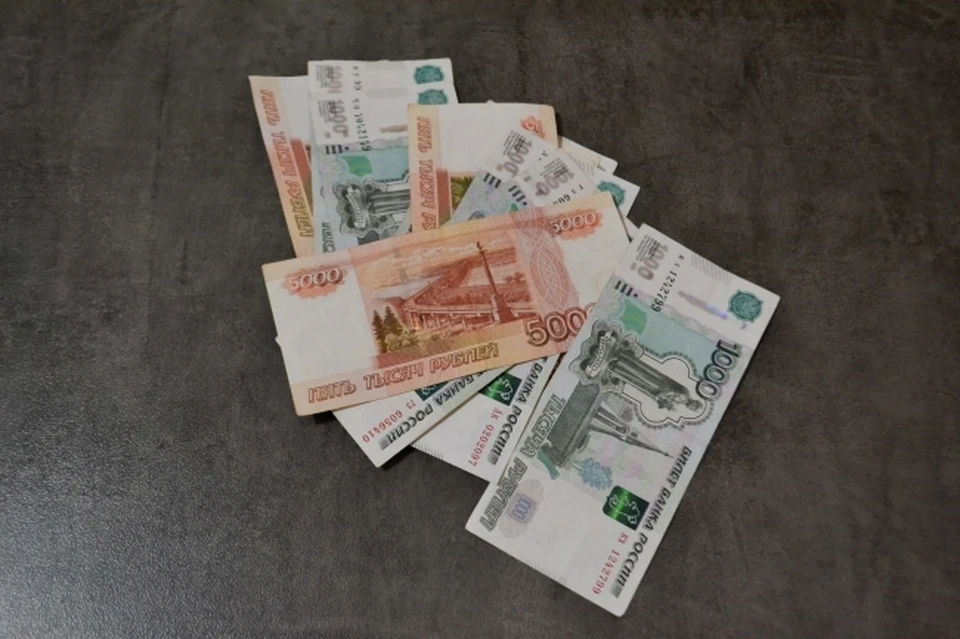 Долги по зарплате в 34 миллиона рублей выплатили жителям Хабаровского края
