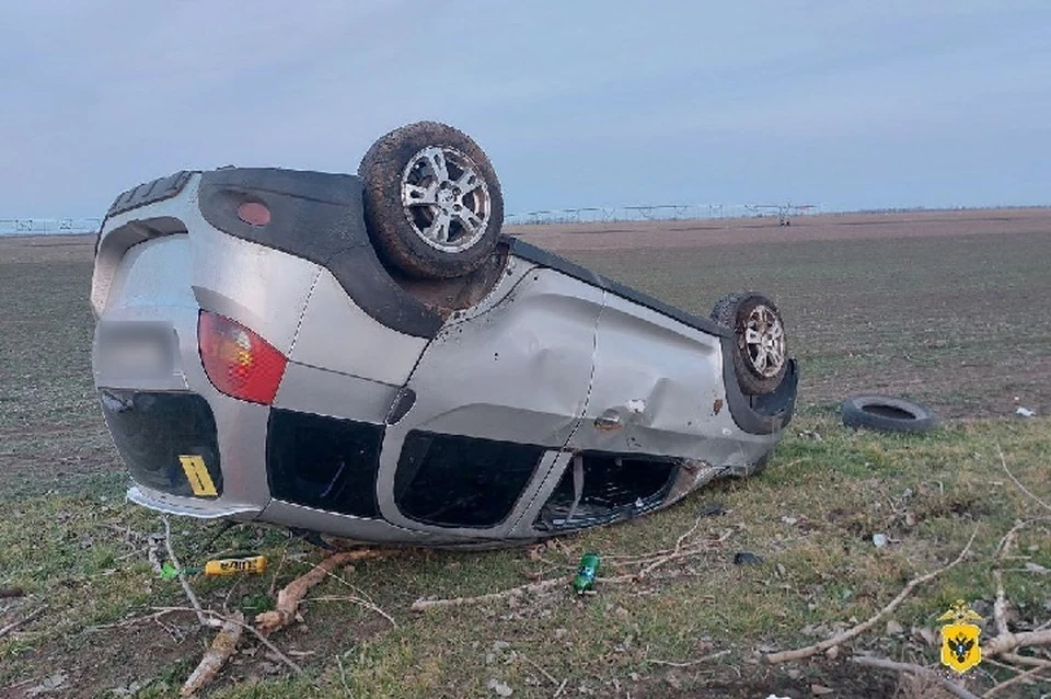 В Чаплинском округе Херсонской области вечером 9 марта произошло ДТП. ФОТО: ГУ МВД России по ХО