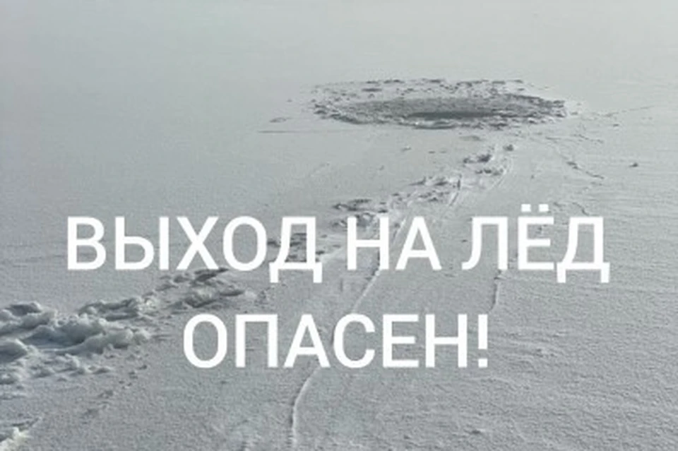 Фото: Пресс-служба регионального СК