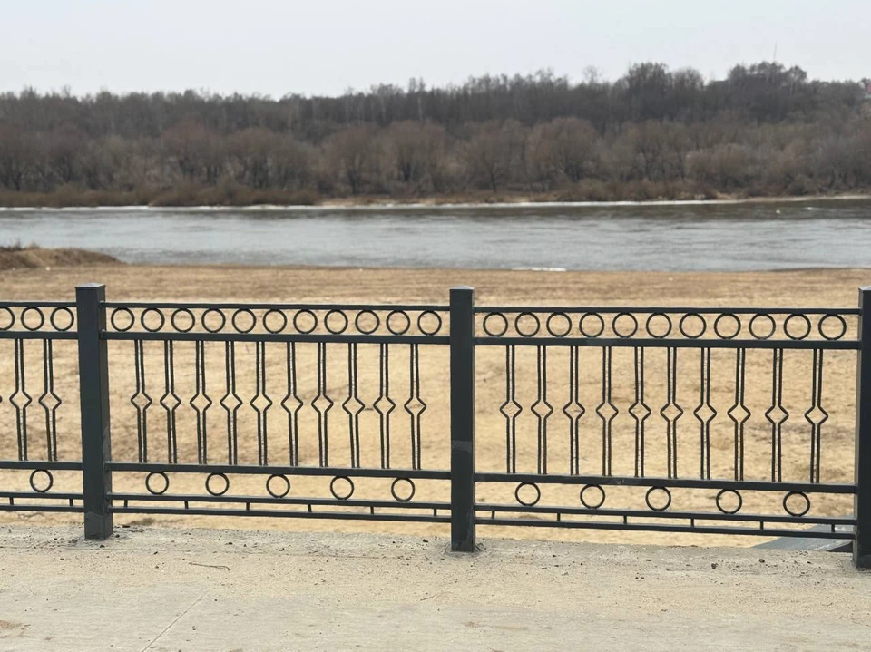 В Калуге планируют обновить пляж у Оки