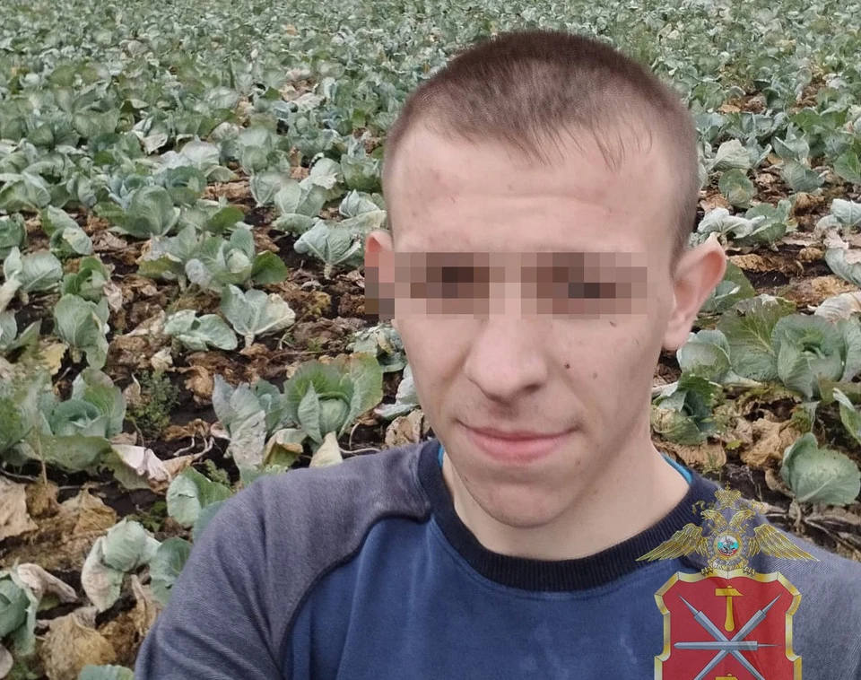 Безработный вор-рецидивист обчистил гараж в Донском Тульской области