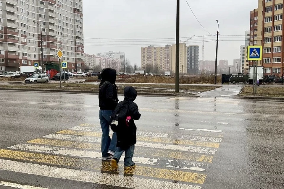 Ярославцы боятся переходить дорогу на улице Бабича. ФОТО: ОНФ по Ярославской области