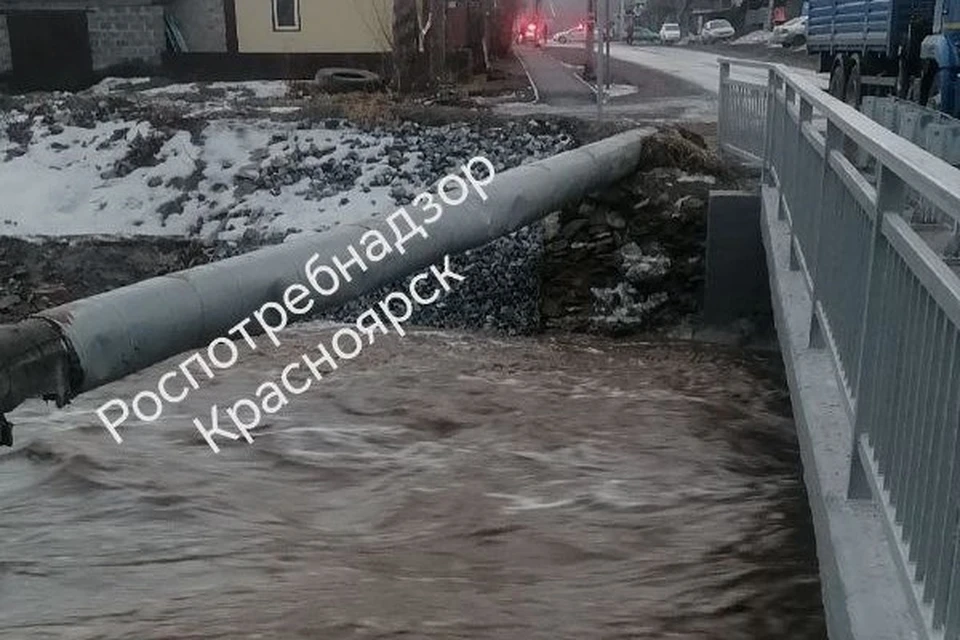Фото: Роспотребнадзор Красноярского края