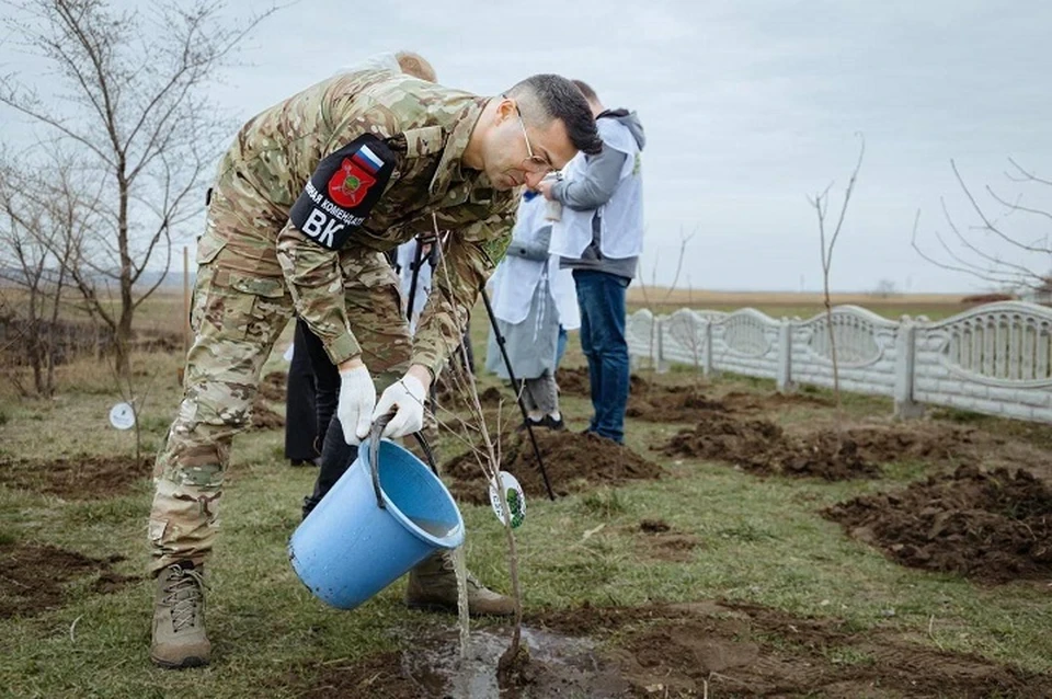 В Мелитопольском городском округе высадили черешневую аллею в рамках всероссийский акции "Сад памяти". ФОТО: тг-канал Евгения Балицкого