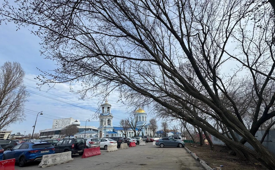 Фото городского управления экологии
