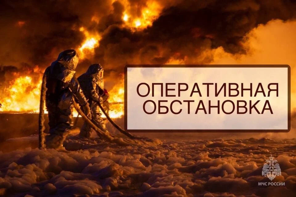 Основные причины пожаров - горение мусора и сухой растительности. Фото: МЧС Тверской области.