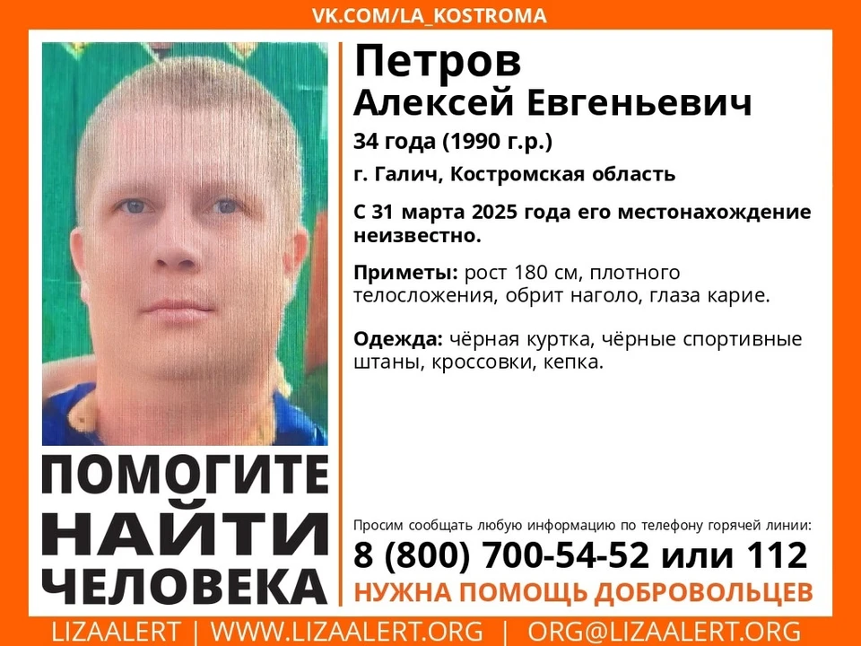 Фото: ДПСО "Лиза Алерт" Костромской области