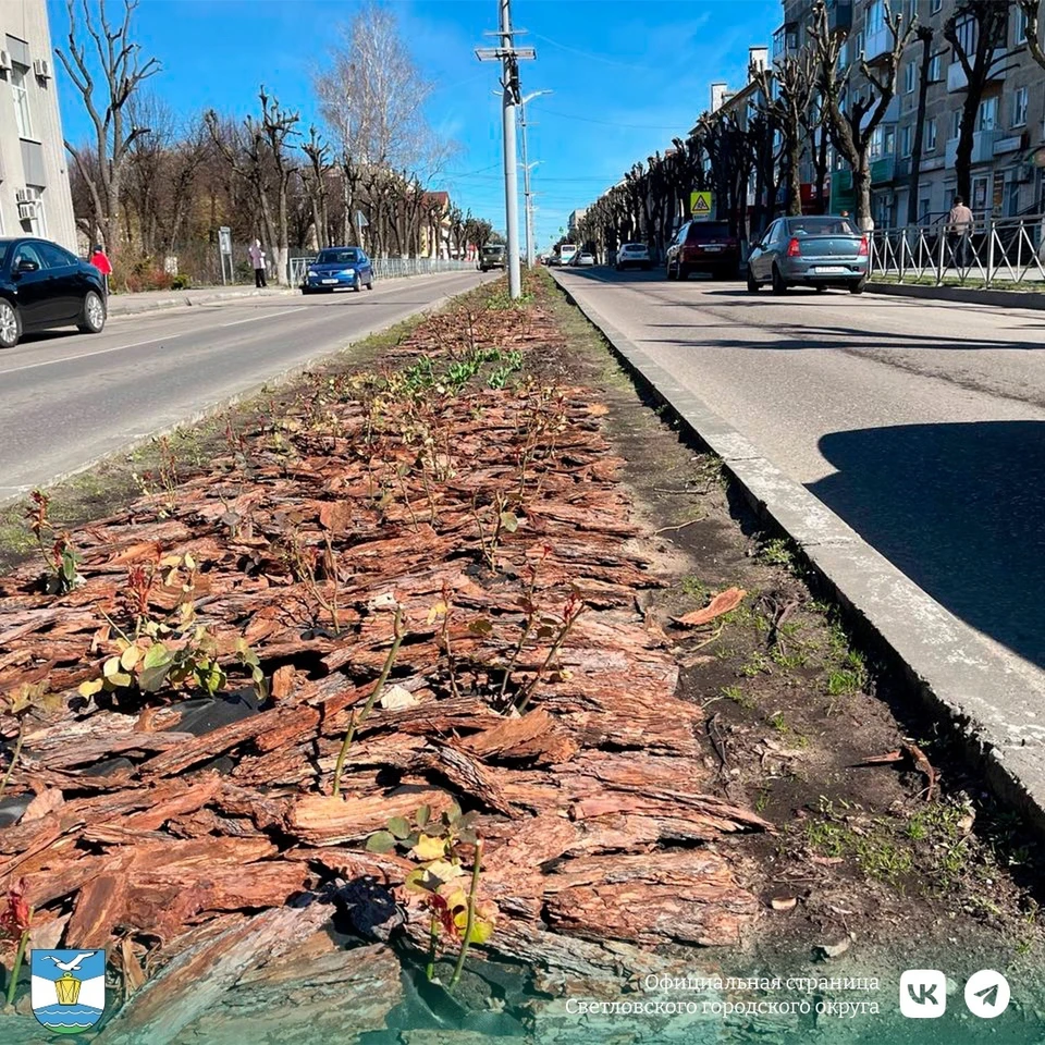 Фото: администрация Светлого.