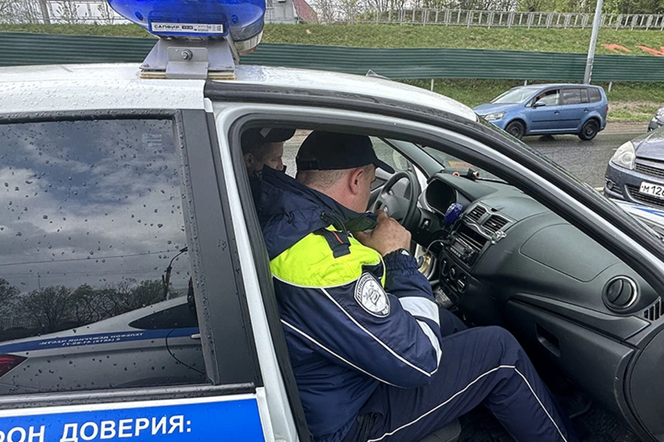 Фото: УМВД России по Смоленской области.
