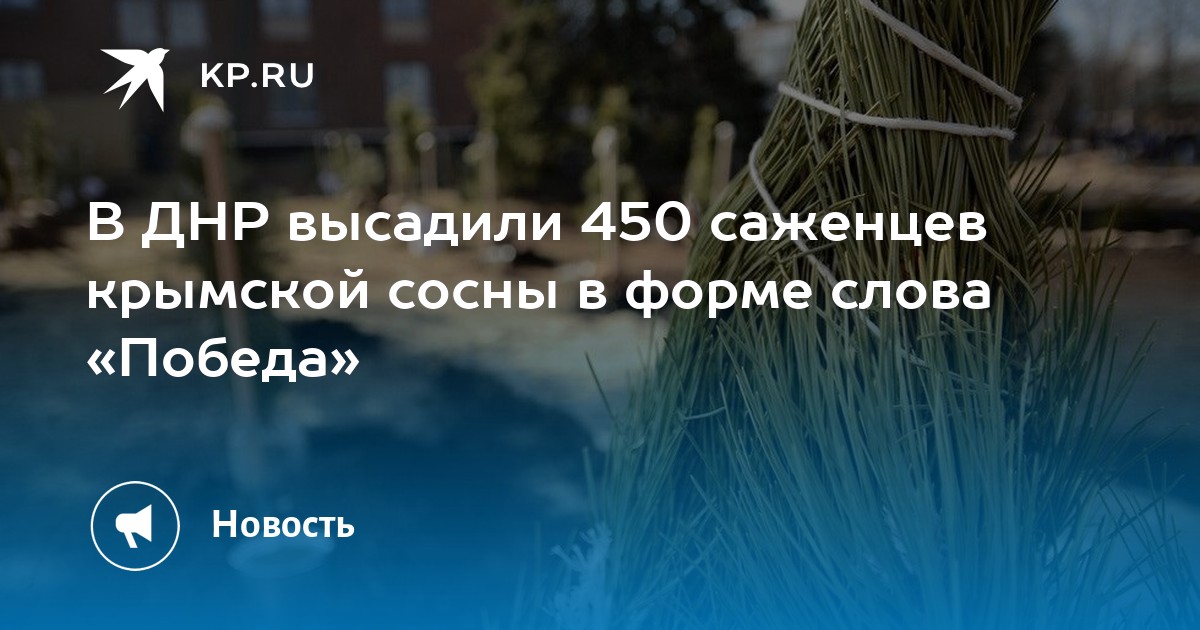 Форма слова перелесок. Форма слова перелесок. Какой корень у слова перелёт. Прист суффикс. Родственные слова и формы слова.