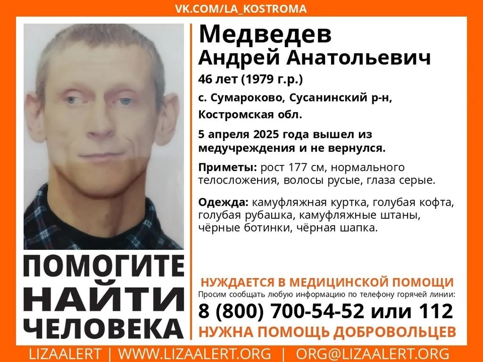 Фото: ДПСО "Лиза Алерт" Костромской области