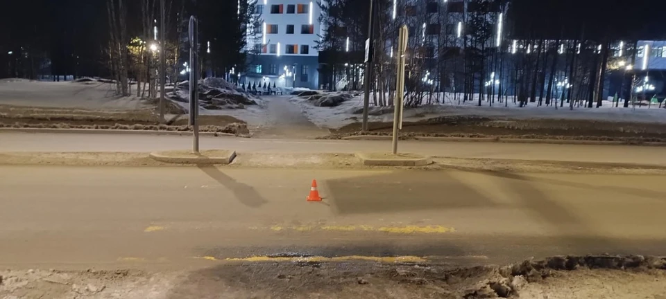 Фото: Госавтоинспекция ЯНАО