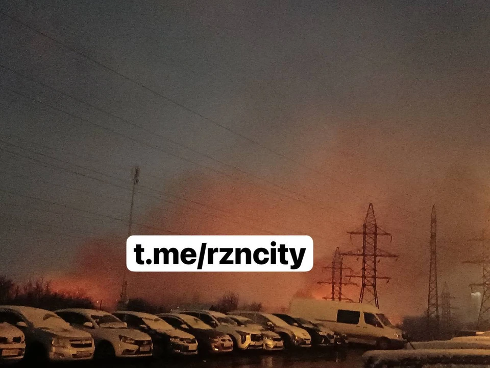 Вновь вспыхнули дачи в Олимпийском городке Рязани. Фото: t.me/rzncity