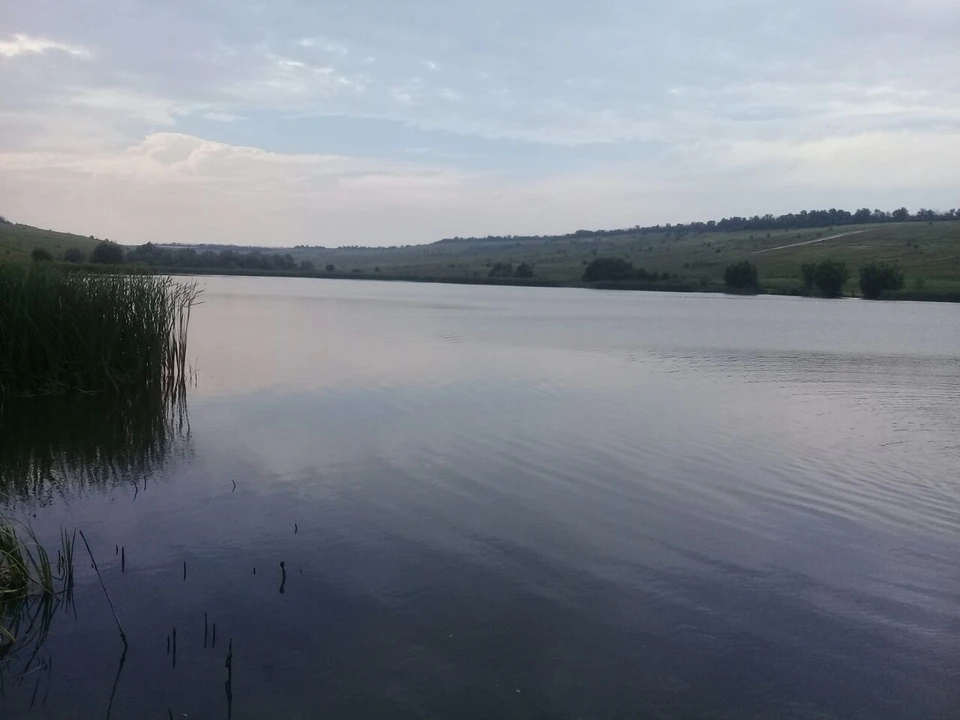 Водолазы очистят дно от мусора и избыточной растительности.