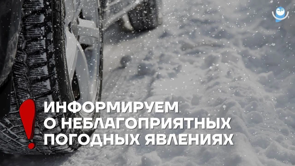 Фото: администрация Нового Уренгоя