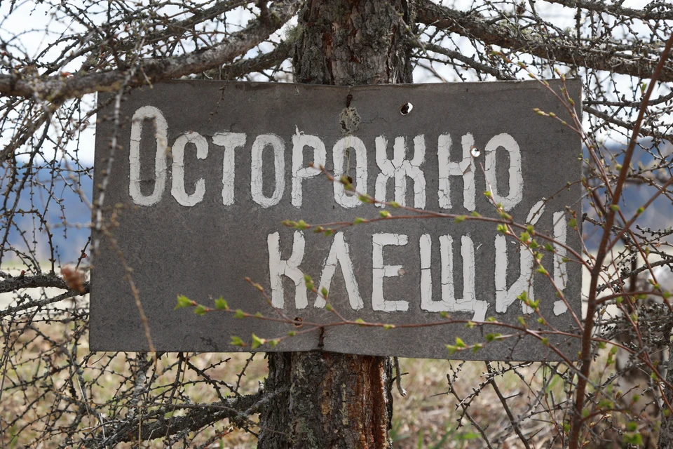 Специалисты призывают жителей и гостей региона соблюдать меры предосторожности